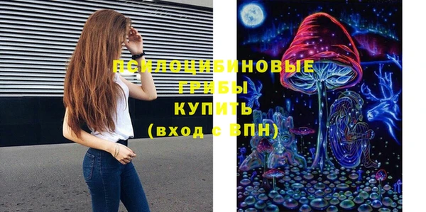 ECSTASY Козловка