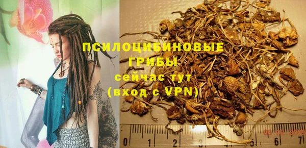 ECSTASY Козловка